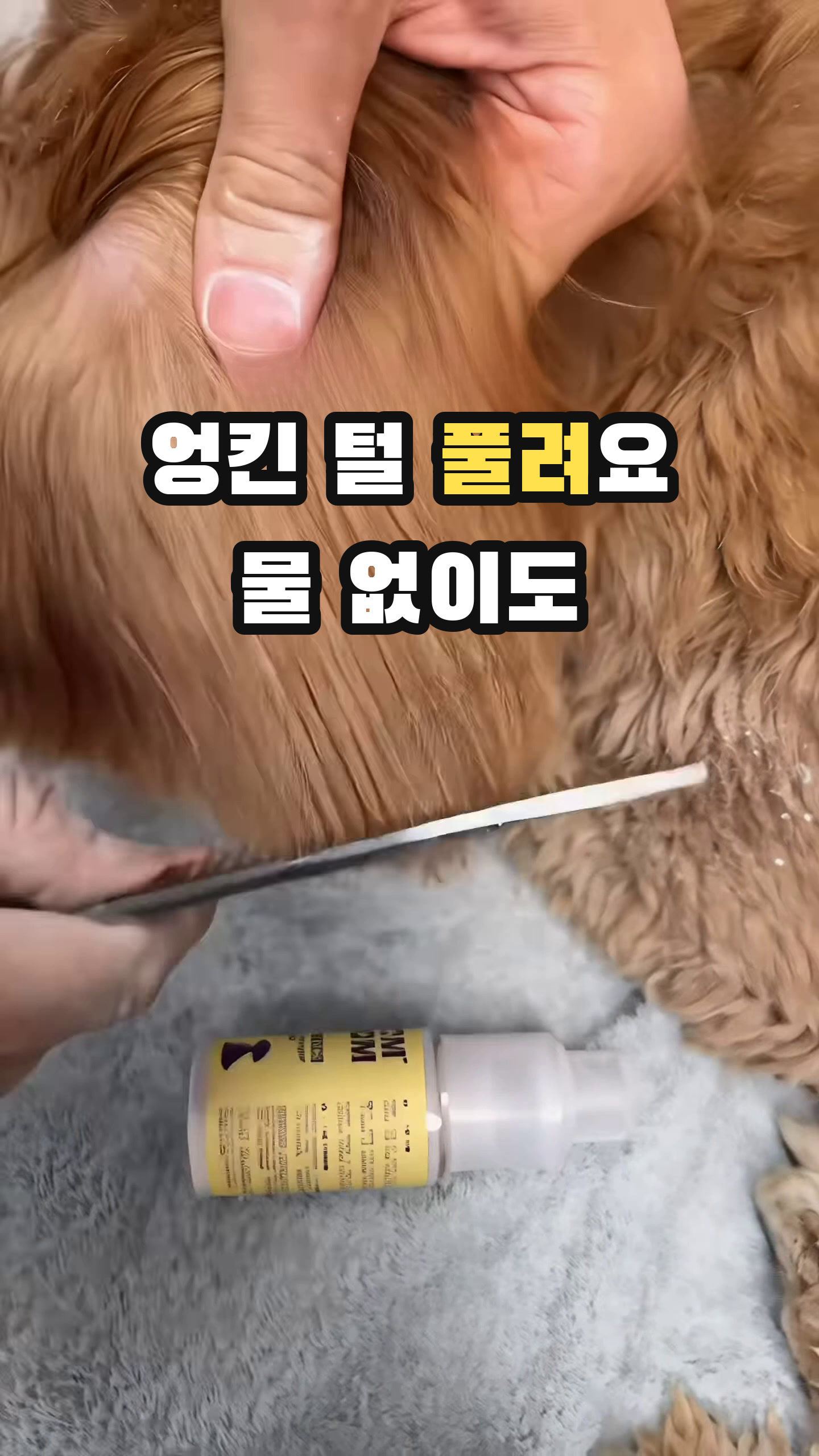 엉킨 털엔 이거 먼저 뿌려요