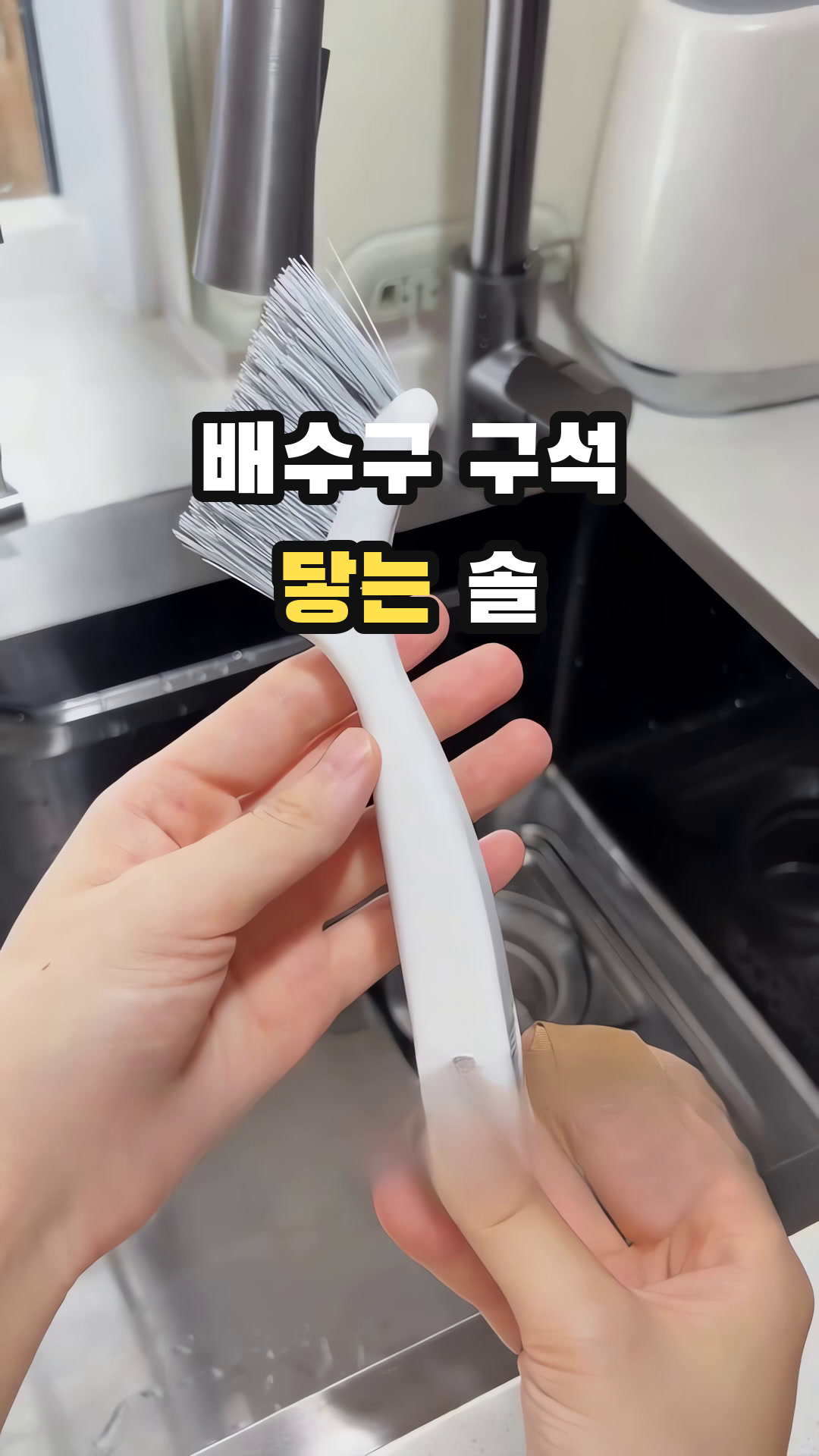 모나코올리브 청소광 브러쉬 6종 + 걸이 세트, 1세트, 혼합색상