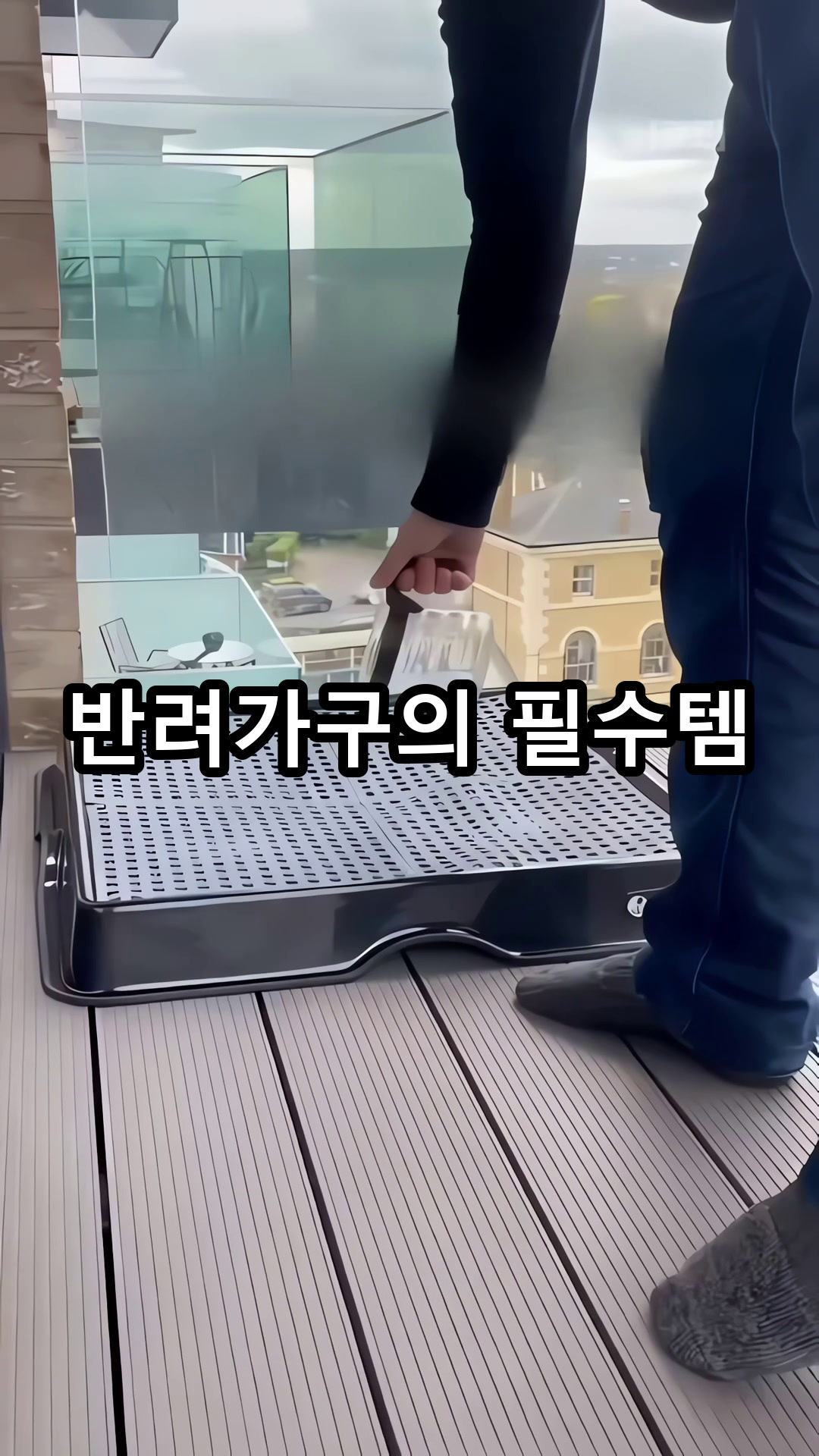 배변판